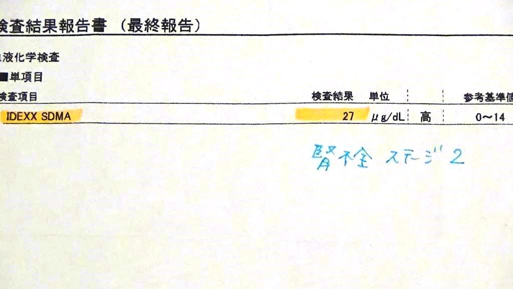 2018年8月　ＳＤＭＡで腎機能のチェック