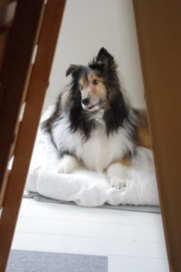 2018年9月　留置カテーテルの点滴を免れる