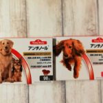 犬（16歳）の腎不全でアンチノールを開始して3週間が経ちました