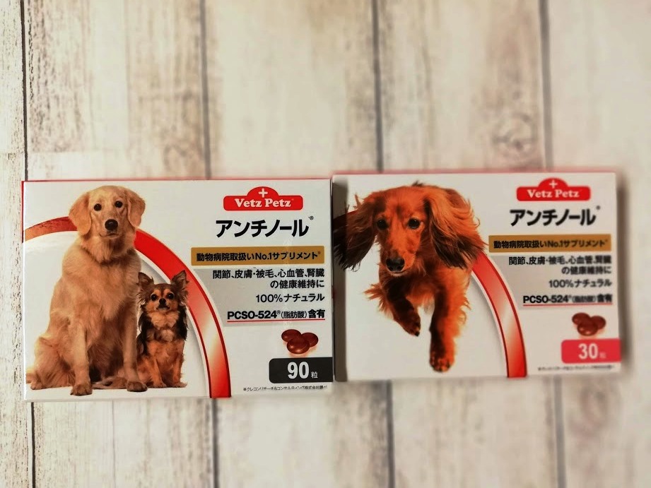 犬（16歳）の腎不全でアンチノールを開始して3週間が経ちました