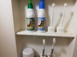 我が家のシェルティーの歯みがき事情