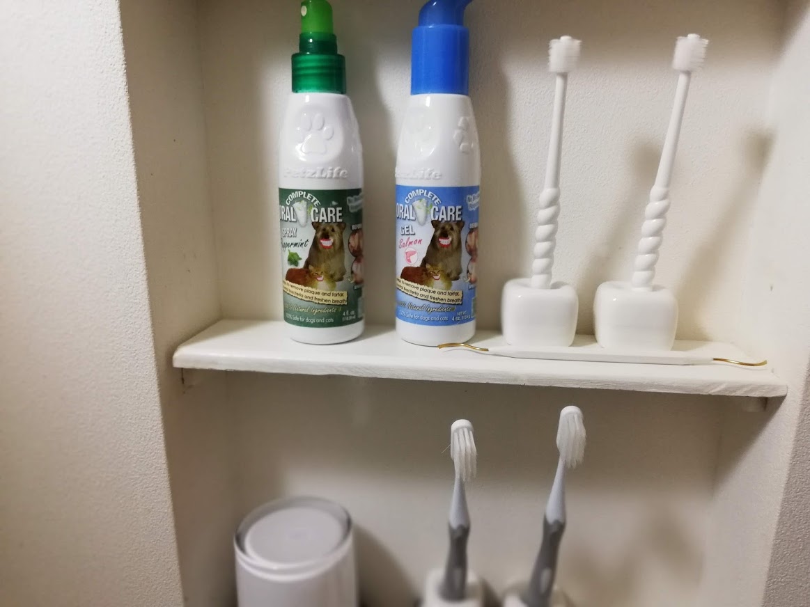 我が家のシェルティーの歯みがき事情