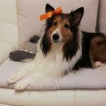 新しいカテゴリー【キナリの部屋】を作りました♪