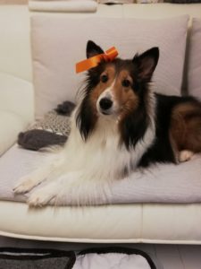 新しいカテゴリー【キナリの部屋】を作りました♪