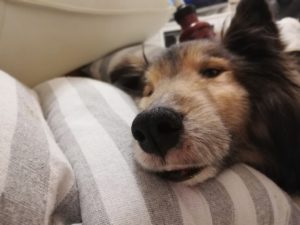 立てなくなった日