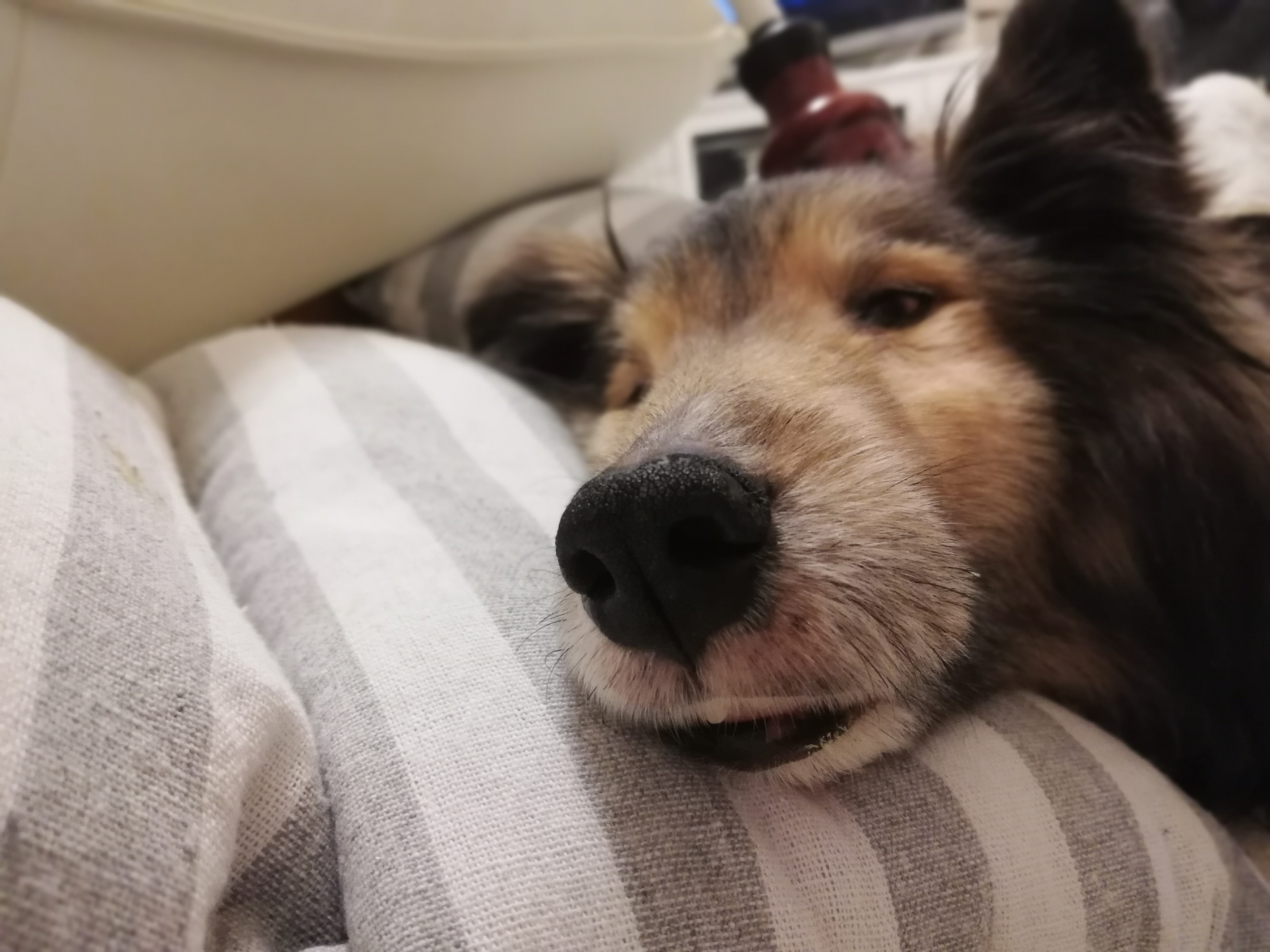 立てなくなった日