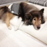 寝たきり生活を覚悟したけれど