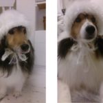 今、この瞬間　神様から余計にもらえた命を紡ぐこと