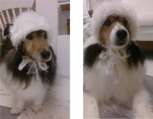 今、この瞬間　神様から余計にもらえた命を紡ぐこと