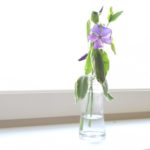 チロルからのメッセージ