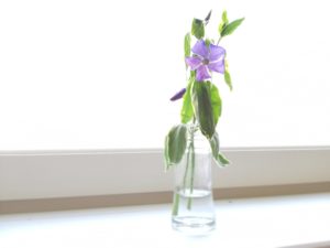 チロルからのメッセージ