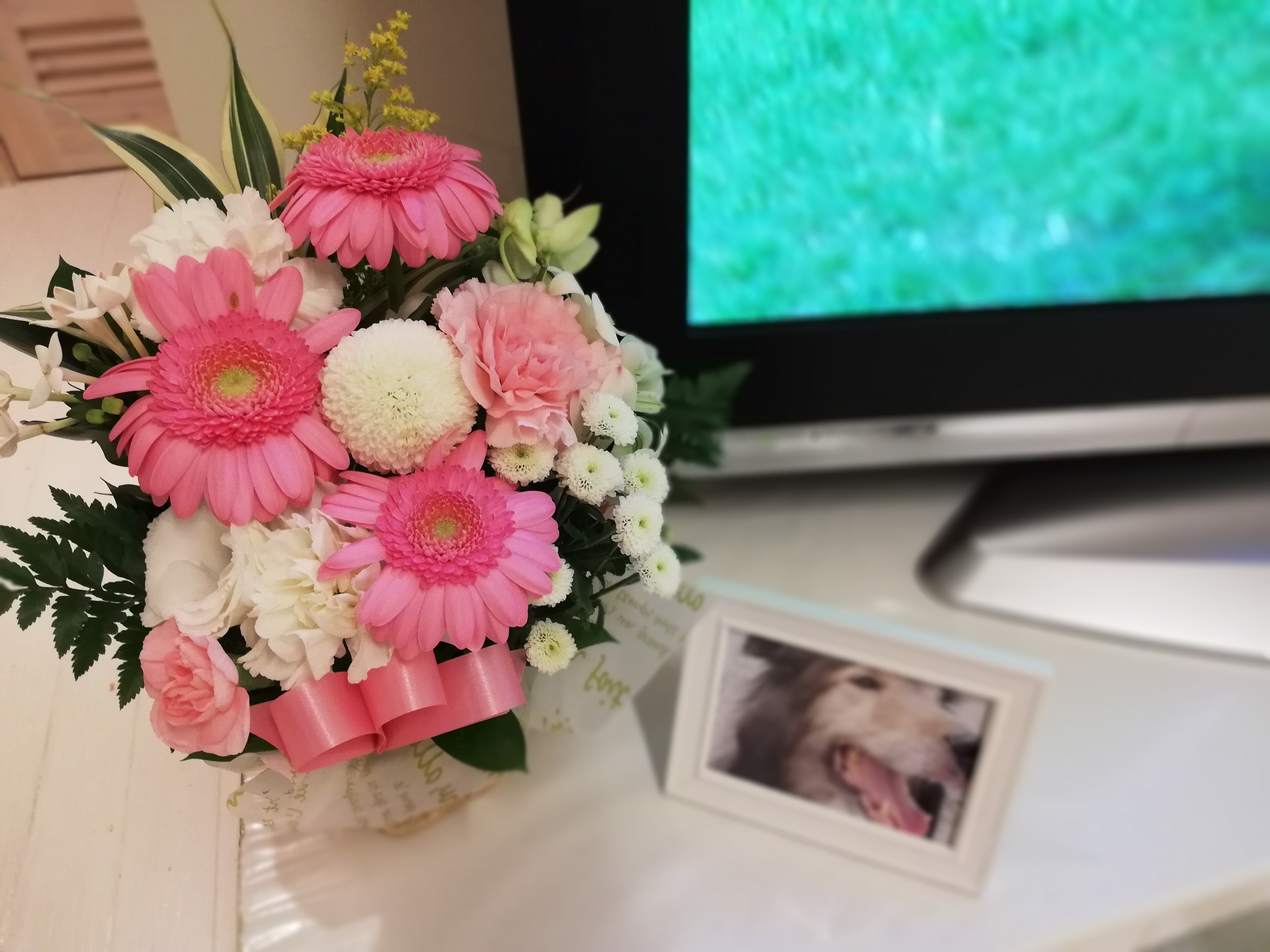 チロルからのメッセージ　パート２