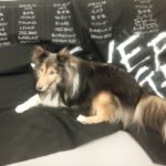 お別れの支度と火葬を終えて