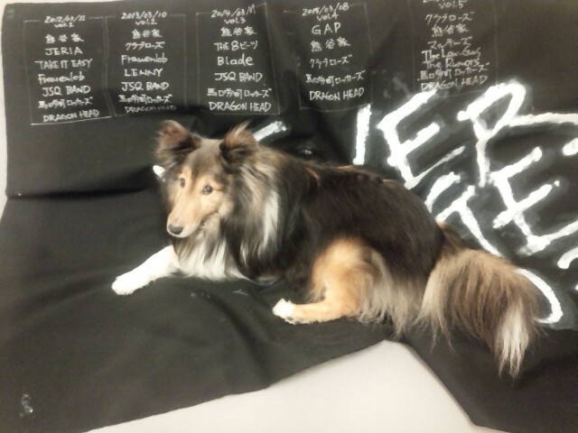 お別れの支度と火葬を終えて