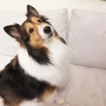 春の健康診断の結果は「異常なし」・・・で良いんですよね？