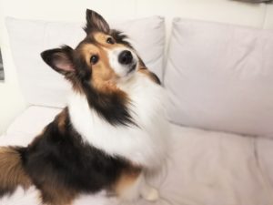 春の健康診断の結果は「異常なし」・・・で良いんですよね？