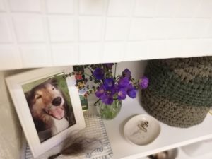 初めてのチロルの月命日