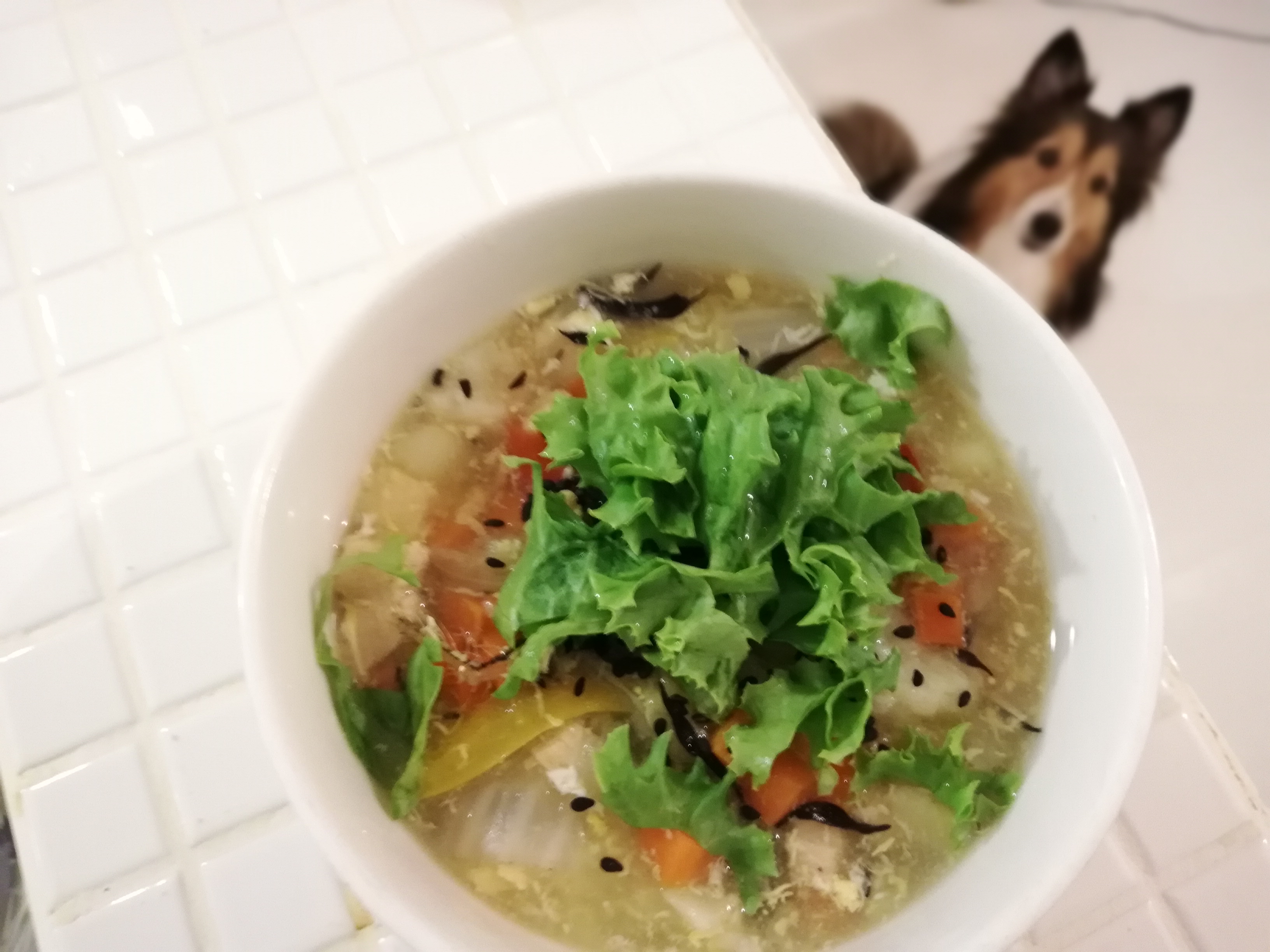 腎不全の犬に効果ありと感じたもの　その２「手作りごはん」