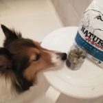 我が家のシェルティーの今までのフードについて+POCHIのスピルリナ・ビスケット