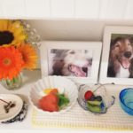 チロルの四十九日(49日)