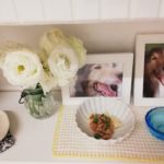 チロルの月命日　2回目