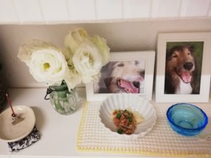 チロルの月命日　2回目