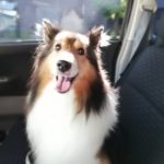 酵素入浴でご満悦