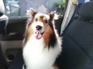 酵素入浴でご満悦