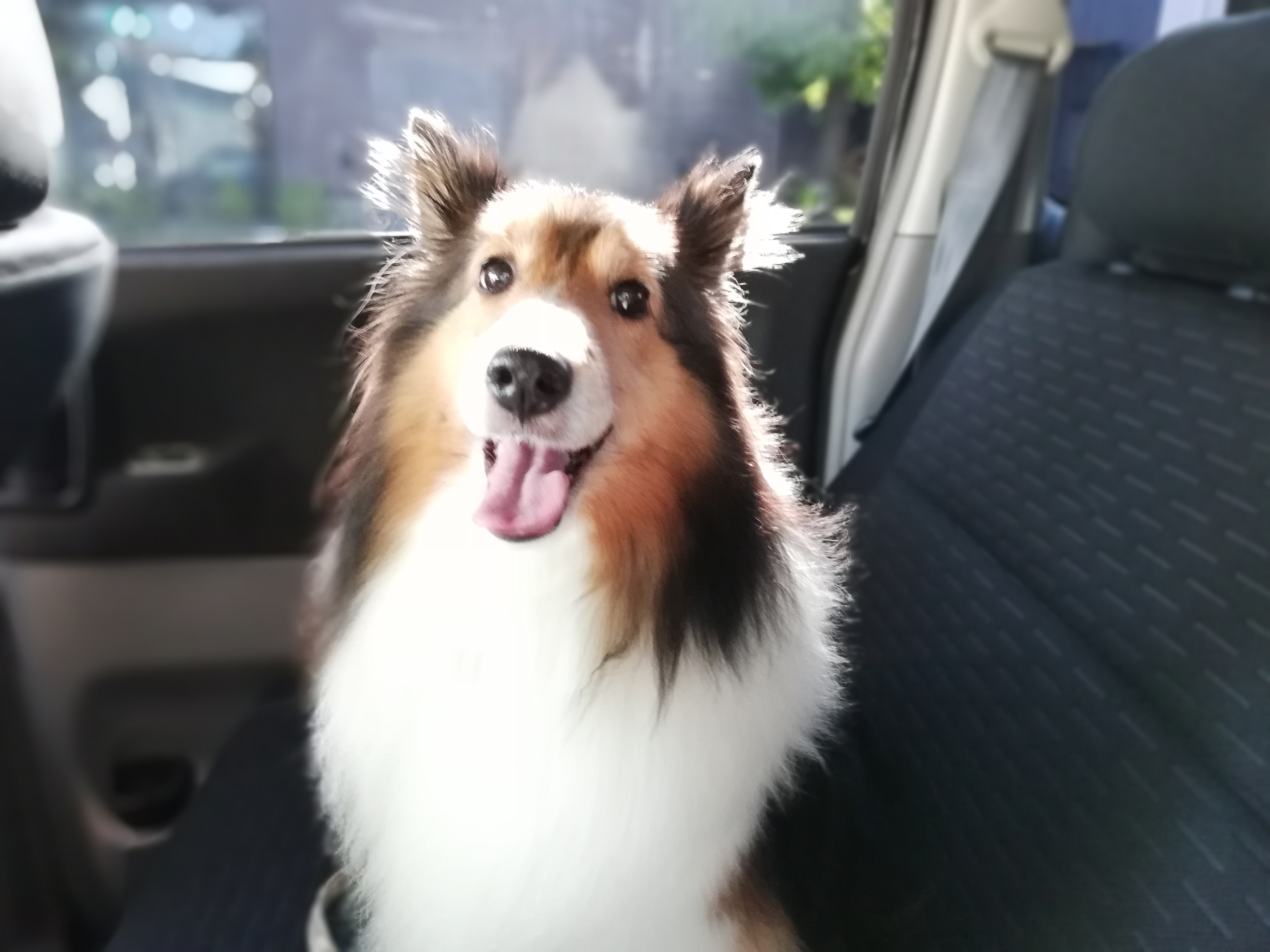 酵素入浴でご満悦