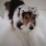 保冷剤バンダナで暑さ対策