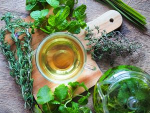 腎不全の犬に効果ありと感じたもの　その3　ハーブサプリ『ヒルトンハーブkdソリューション』