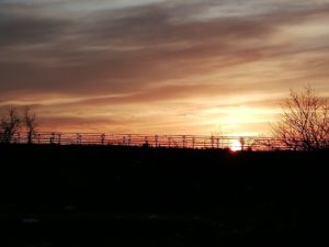 夕方散歩と夕日