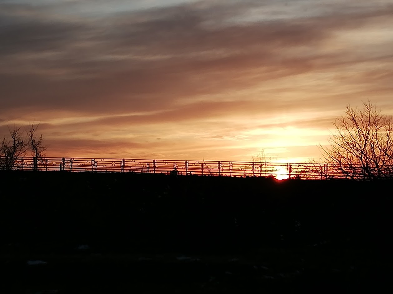 夕方散歩と夕日