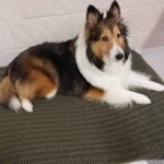 闘病中に取り入れた「色」を使った養生法