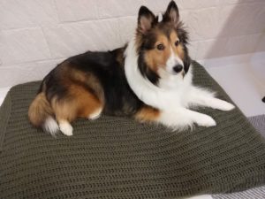 闘病中に取り入れた「色」を使った養生法