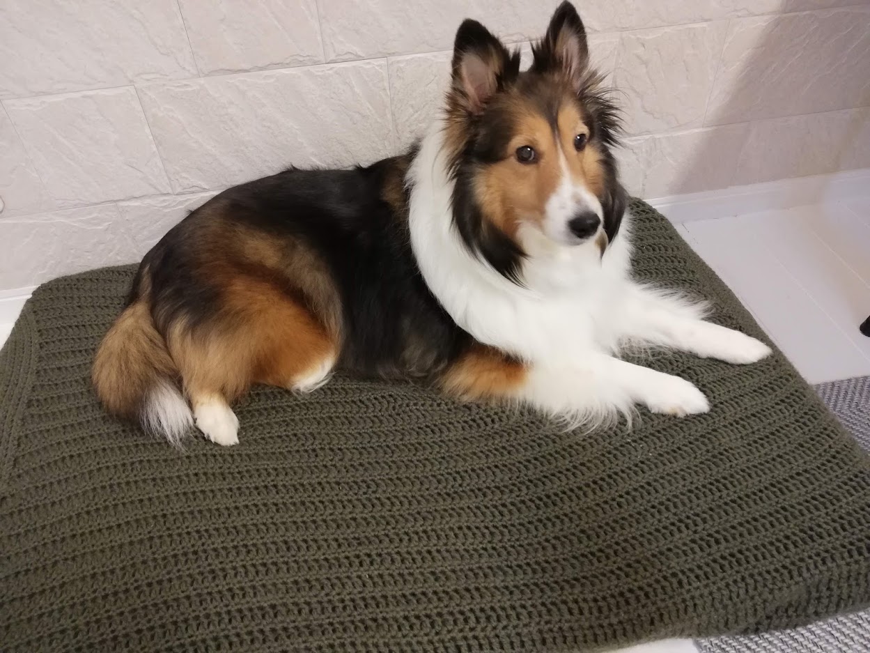 闘病中に取り入れた「色」を使った養生法