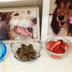 チロルの一周忌と、亡くなった後はどうしているの？