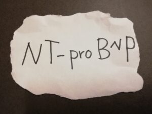 NT-proBNP（脳性Na利尿ペプチド前駆体N端フラグメント）