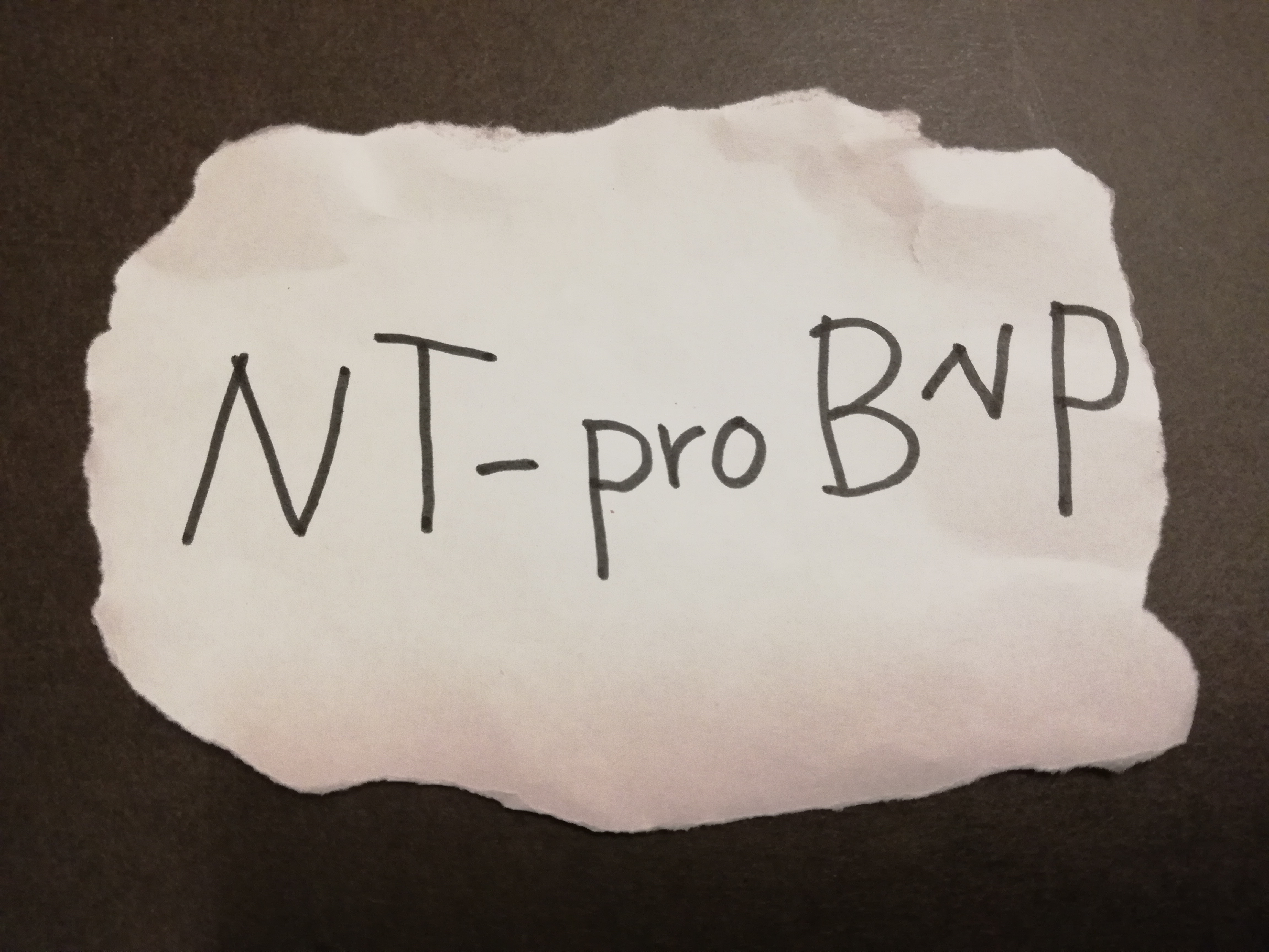 NT-proBNP（脳性Na利尿ペプチド前駆体N端フラグメント）