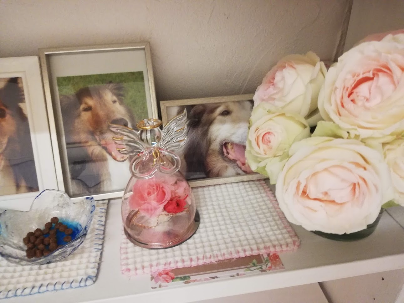 チロルの28回目の月命日