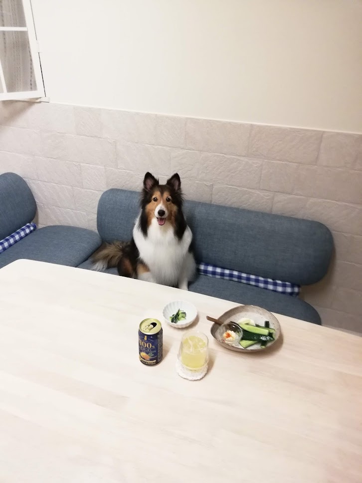 今月は心臓の超音波検査の実施月…心臓以外にも気になること