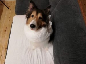 今度は『炎症性乳がん』